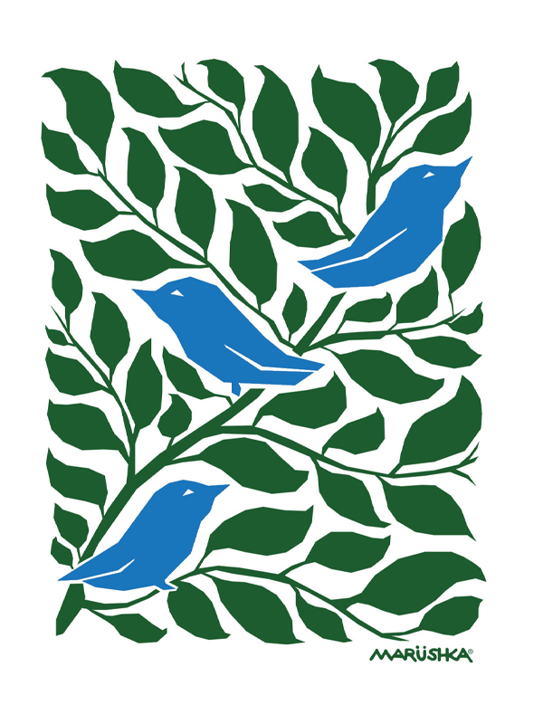 3 Birds