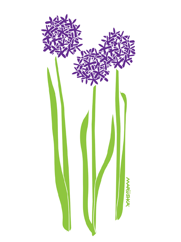 Allium