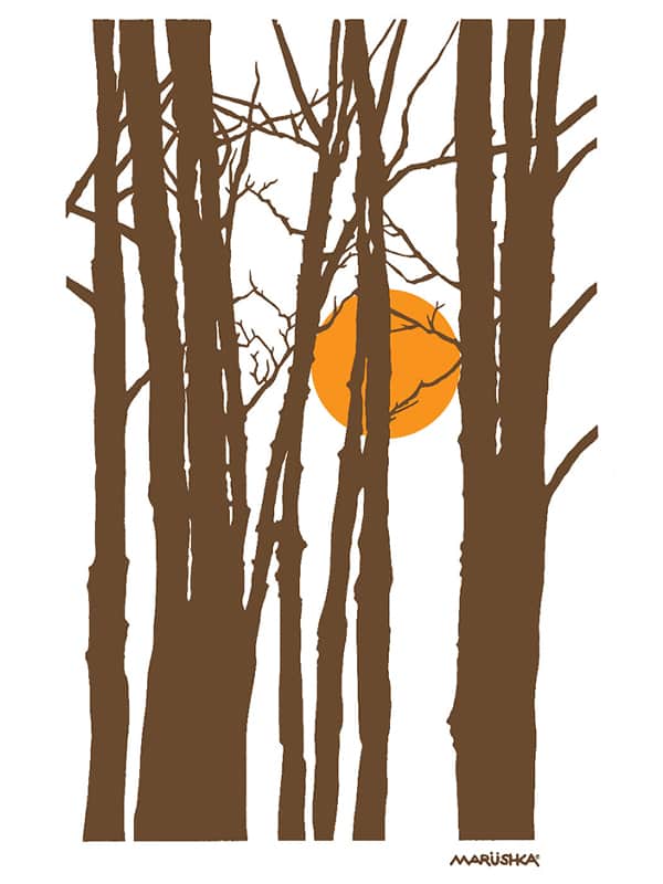 Autumn Sun