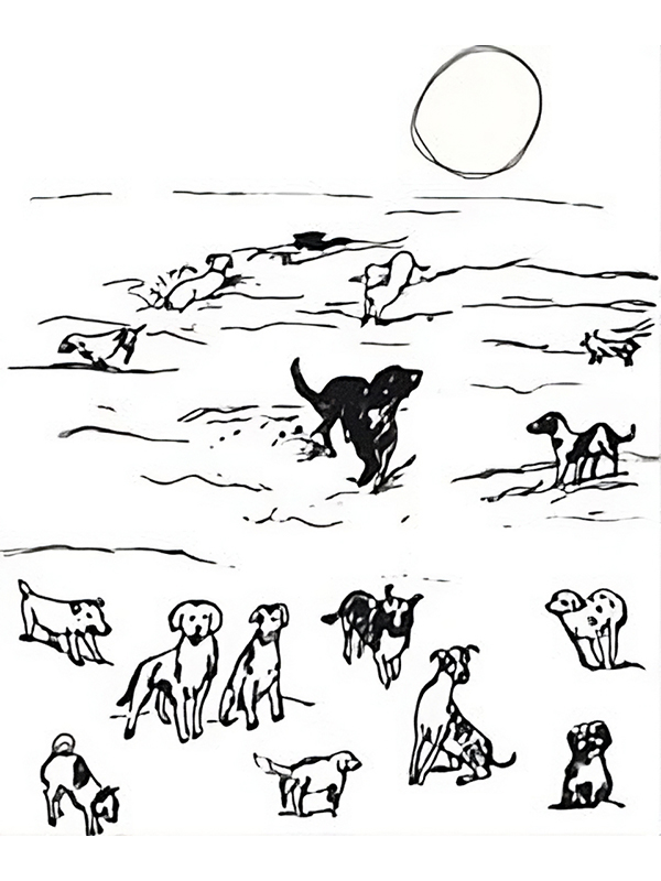 Beach Dogs