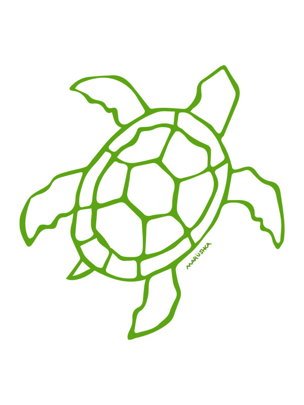 Big Sea Turtle