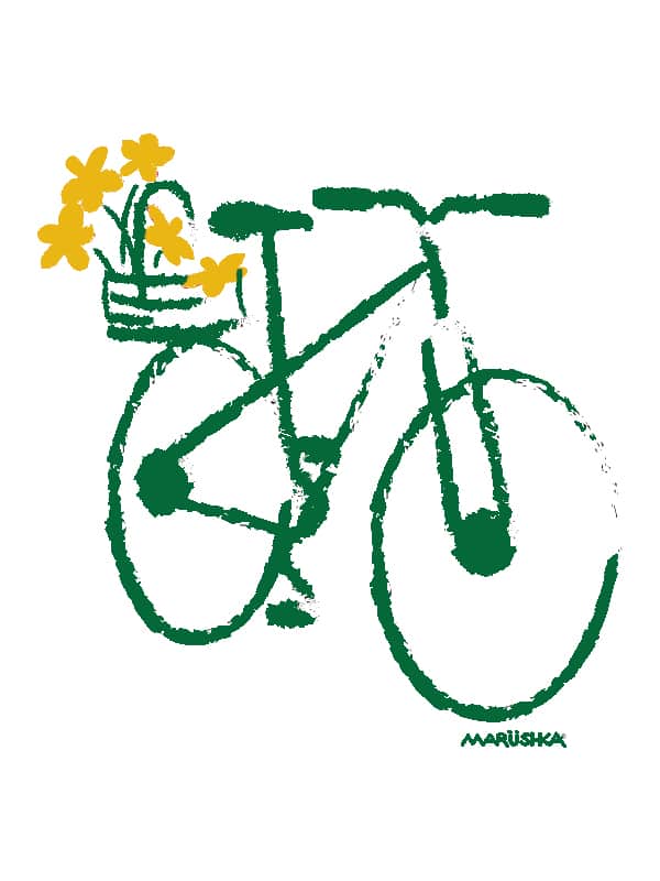 Bike Basket