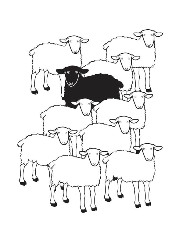 Black Sheep