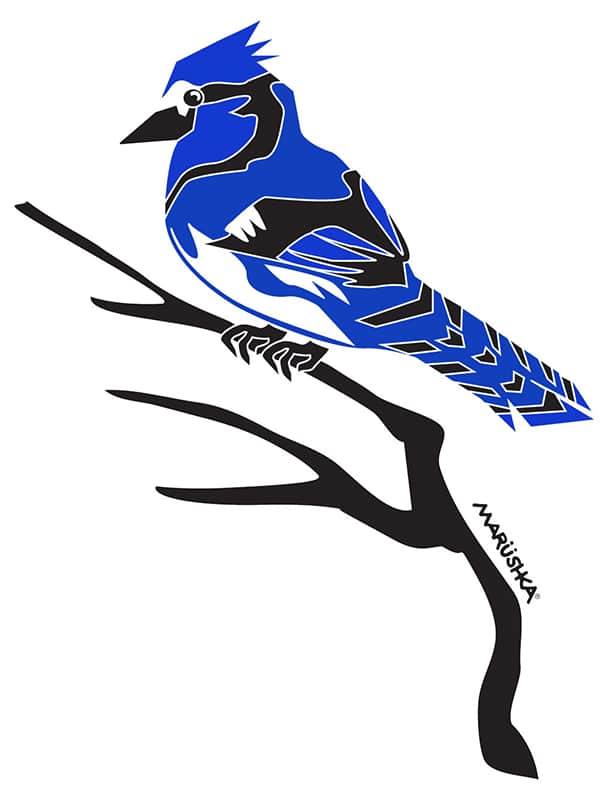 Blue Jay