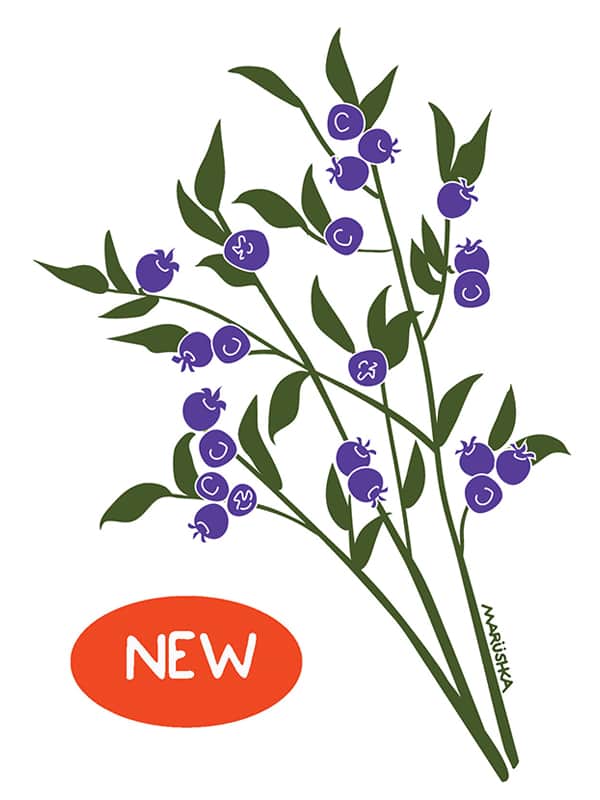 Blueberries
