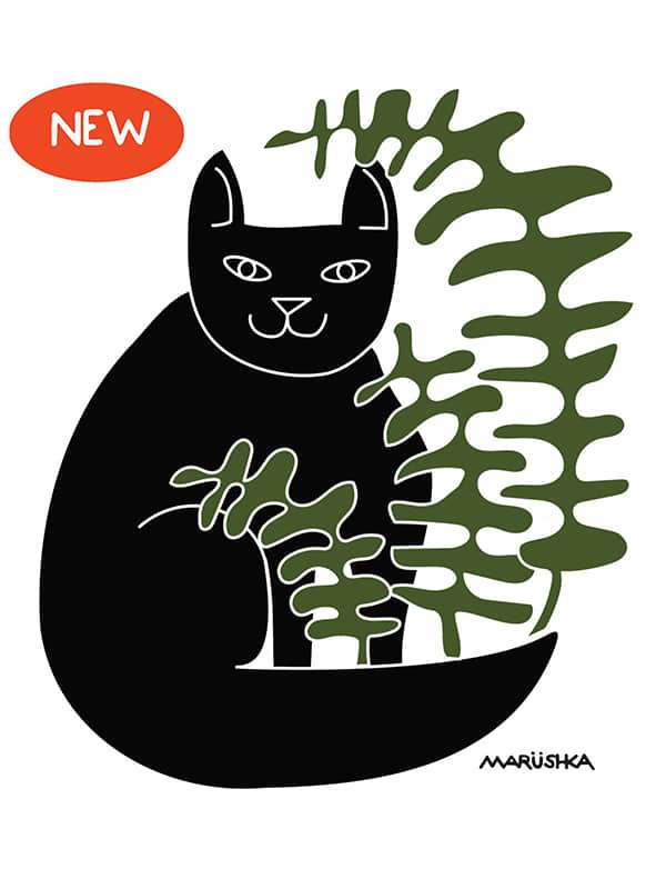 Cat Fern