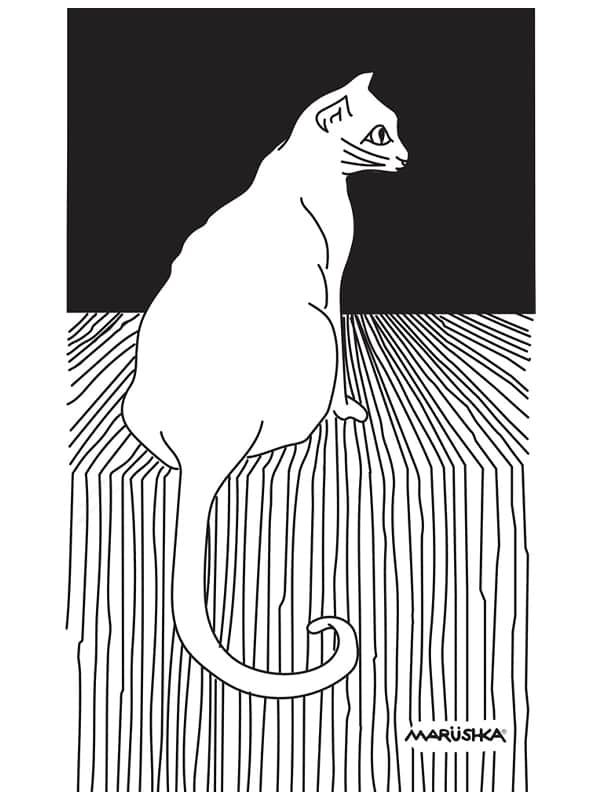 Cat Stripe