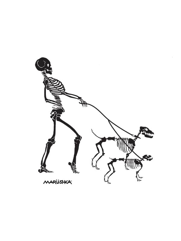 Skeleton Walk