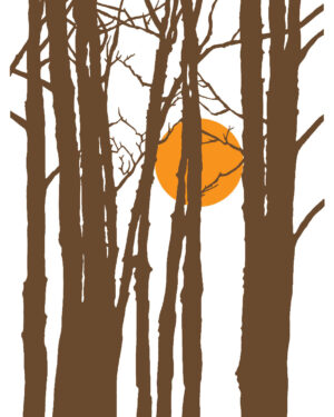 Autumn Sun