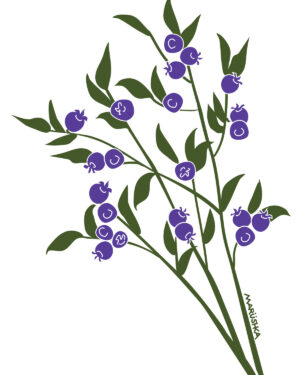Blueberries