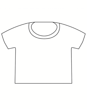 Boxy Crew T