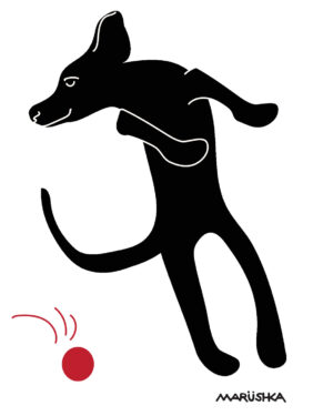 Dog Ball