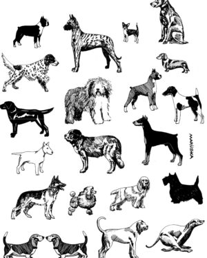 Dogs
