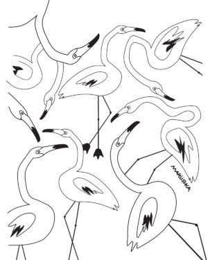 Flamingos