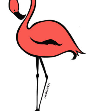 Flamingo
