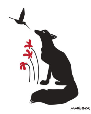 Fox Hummingbird
